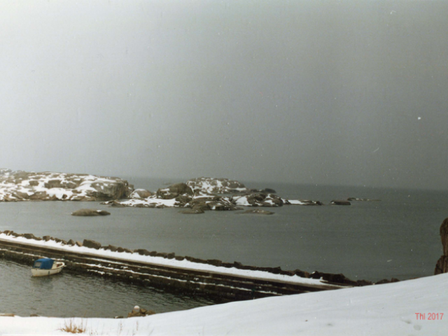 Vigdis Brattås Hagen